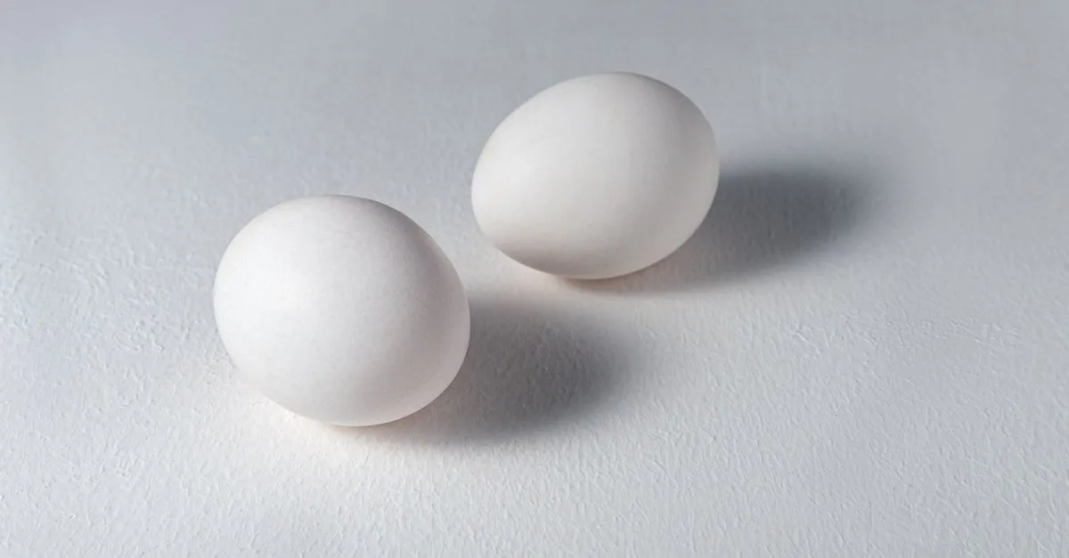 découvrez comment créer un blanc lumineux à la tempera à l’œuf et obtenir des effets subtils grâce à cette technique de peinture traditionnelle.